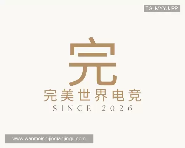 了解完美电竞
